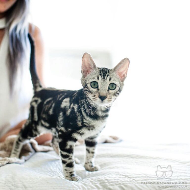 Baby photos