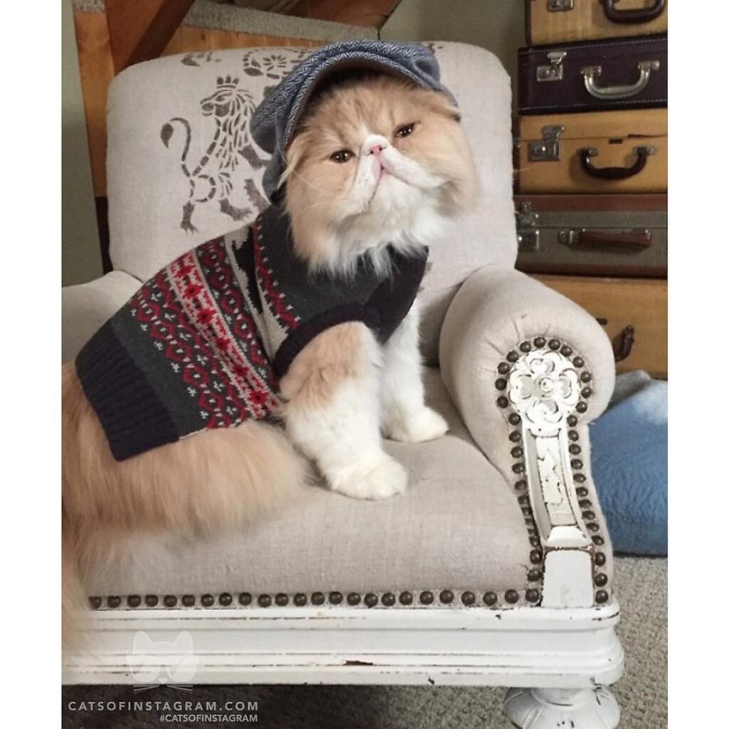 “Hey ladies! Wanna know what my sweater is made of
