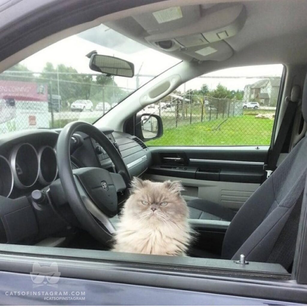 Your Uber has arrived