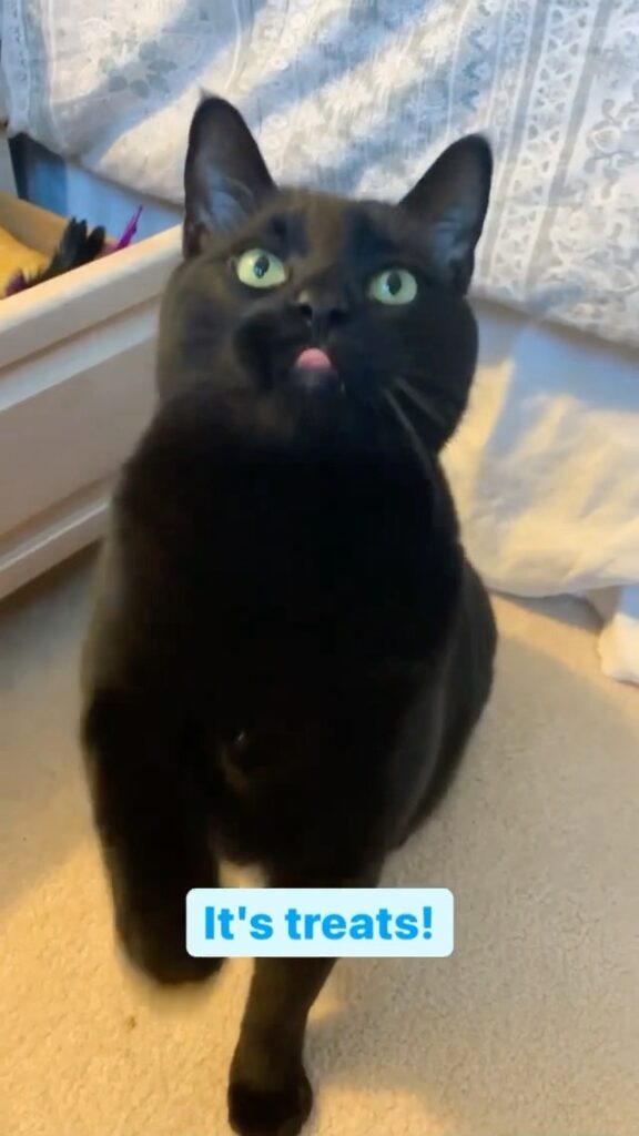 “disclaimer: he’s not actually this terrified of the