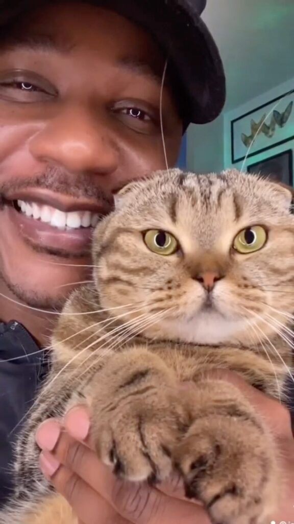 Did it work!? YES OR NO!?!? DONT BE MEAN MEOW!!!
