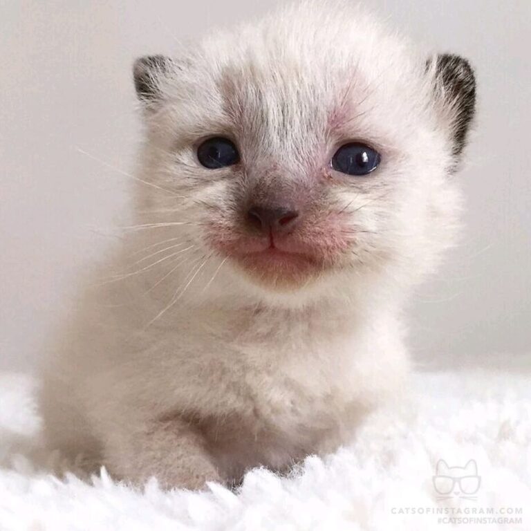 “Be still my beating heart!! Baby Melvin is turning 2 thi