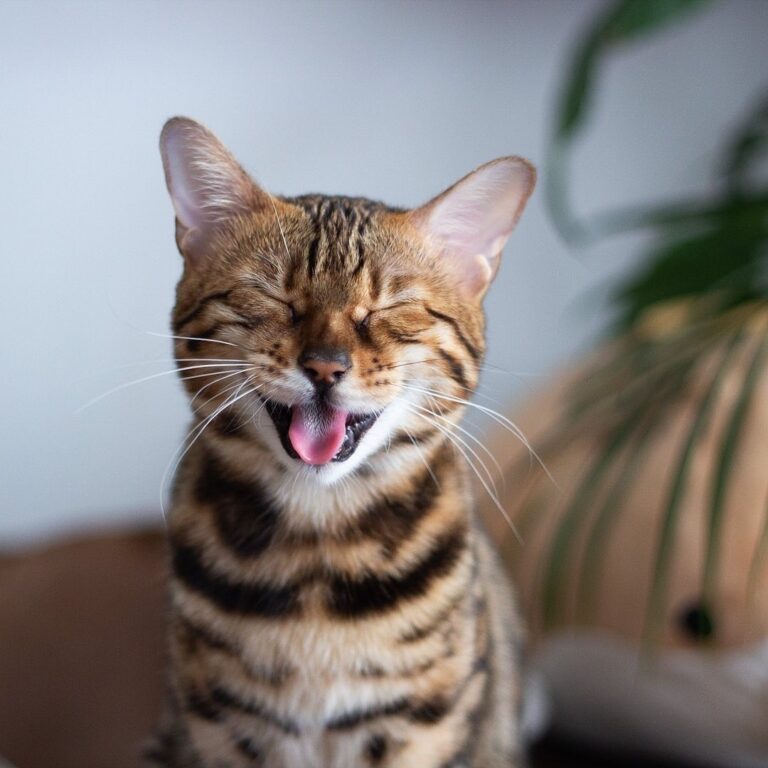 Dear Monday, we didn’t miss you