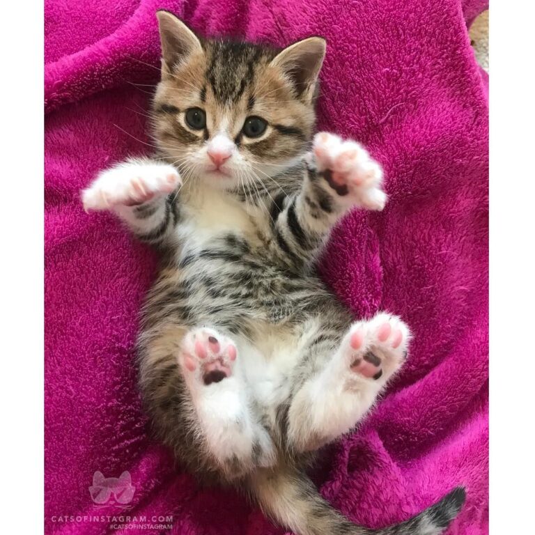 Free Hugs