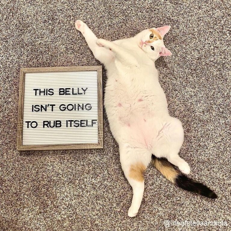 Well…I’m waiting – Stella