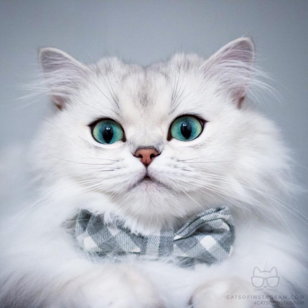 “Relationship status: waiting for the Valentine’s Day