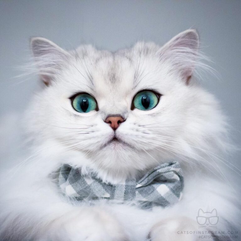 “Relationship status: waiting for the Valentine’s Day