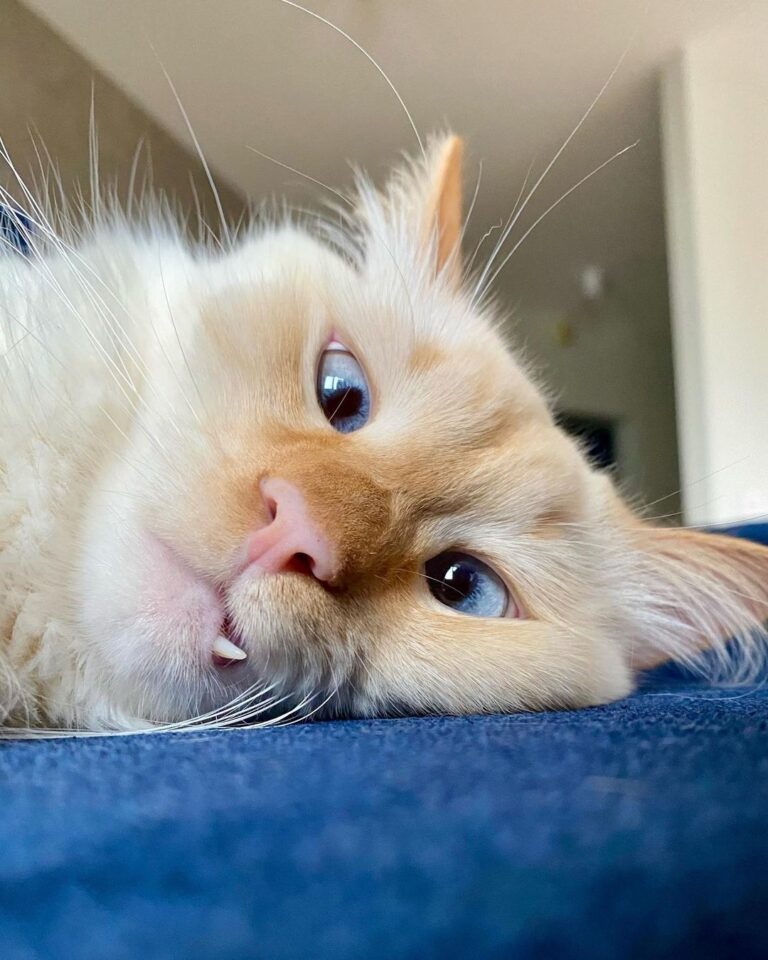 I’m really busy. What about you?