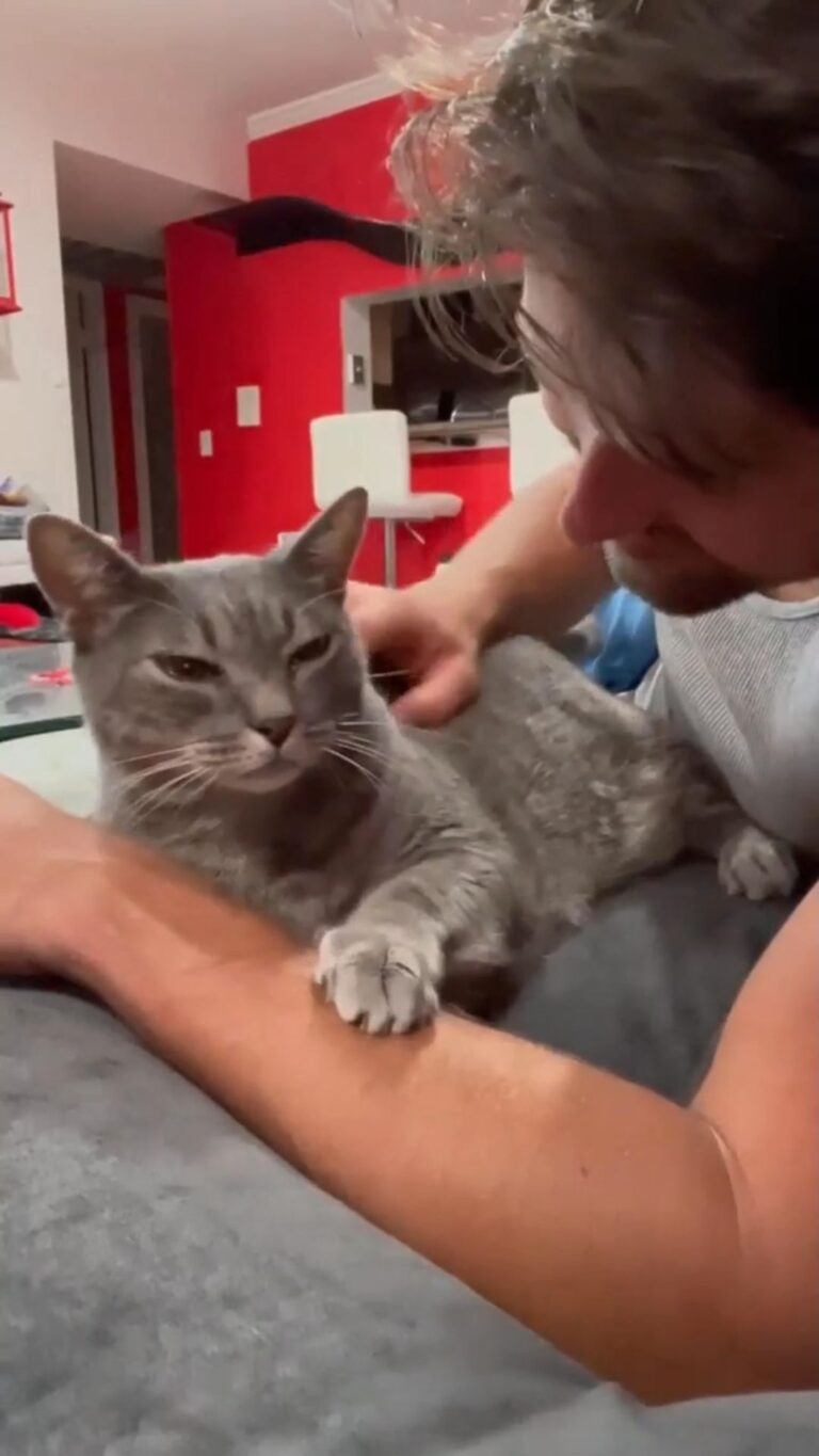 “Pickles has officially learned to pet back. This really