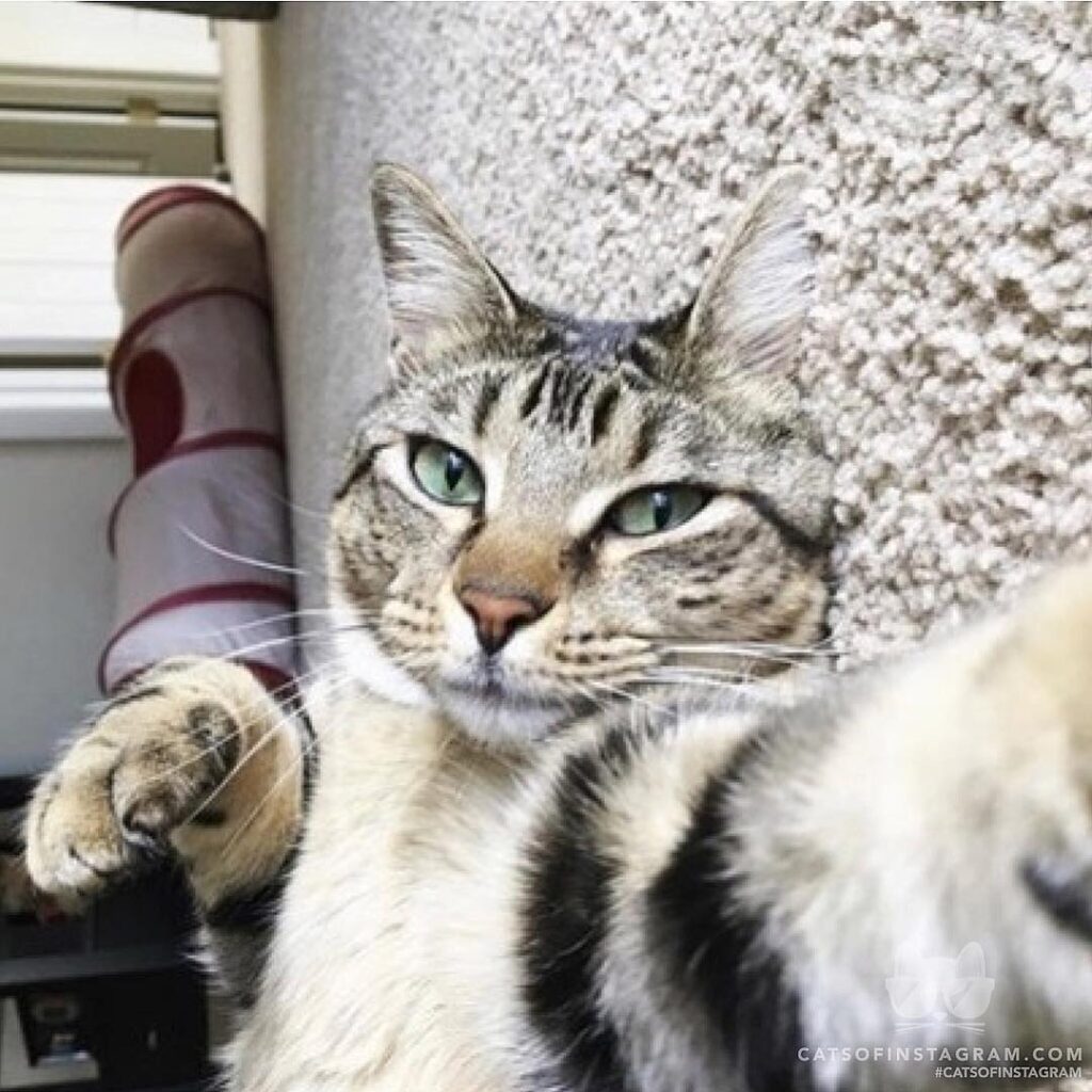 Bella’s selfie game is strong