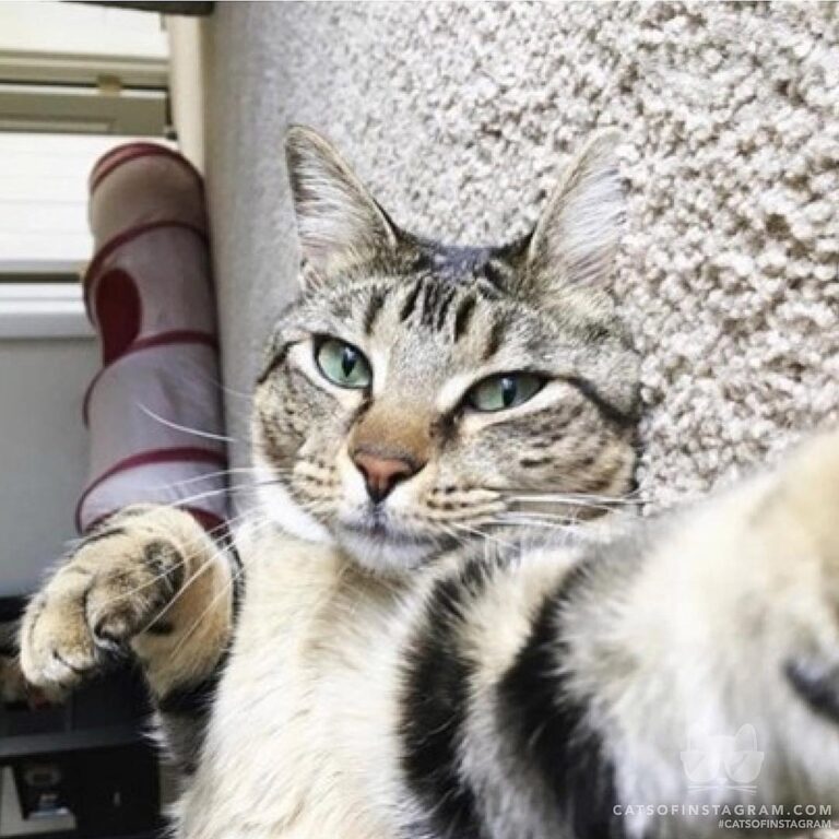 Bella’s selfie game is strong