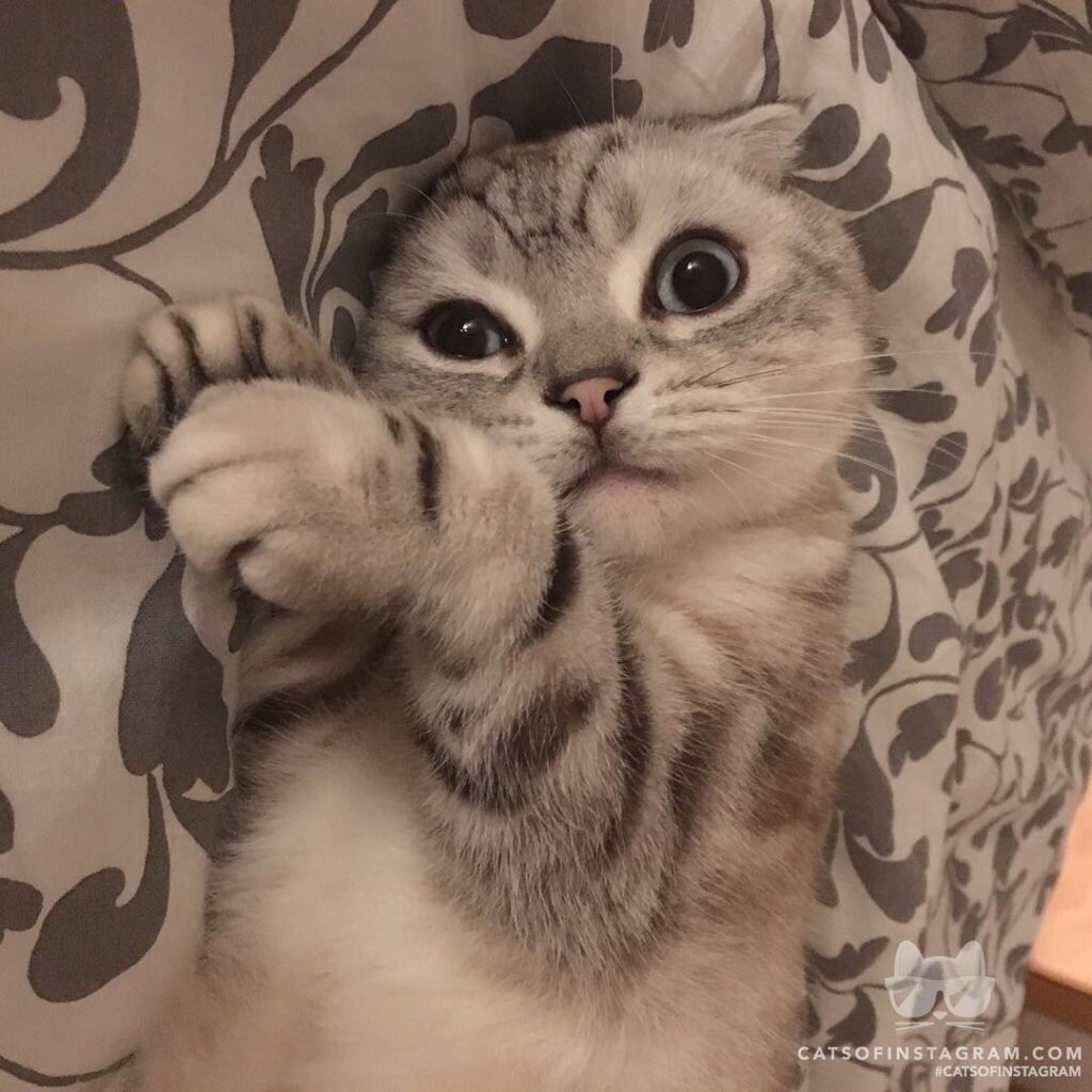 Good night mood