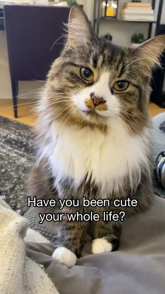 She’s been cute her whole life