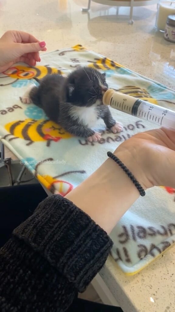 “Bunny loves her milk so much I have to cut her off.