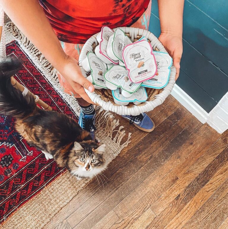 @the_rusticpallet’s cats know when it’s time for dinner. The snap &
