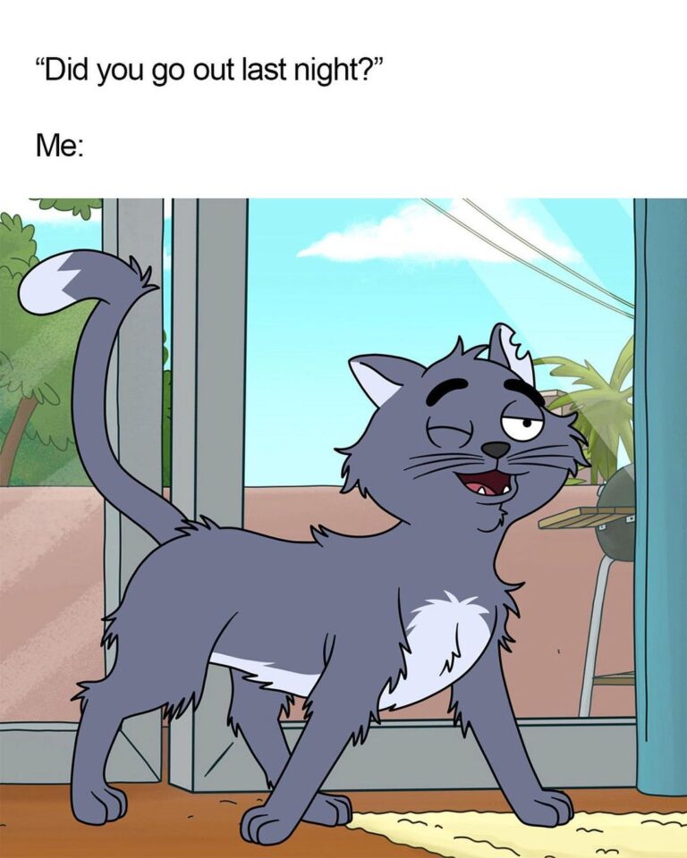 Expose your friend’s cat in the comments. Are they sassy &