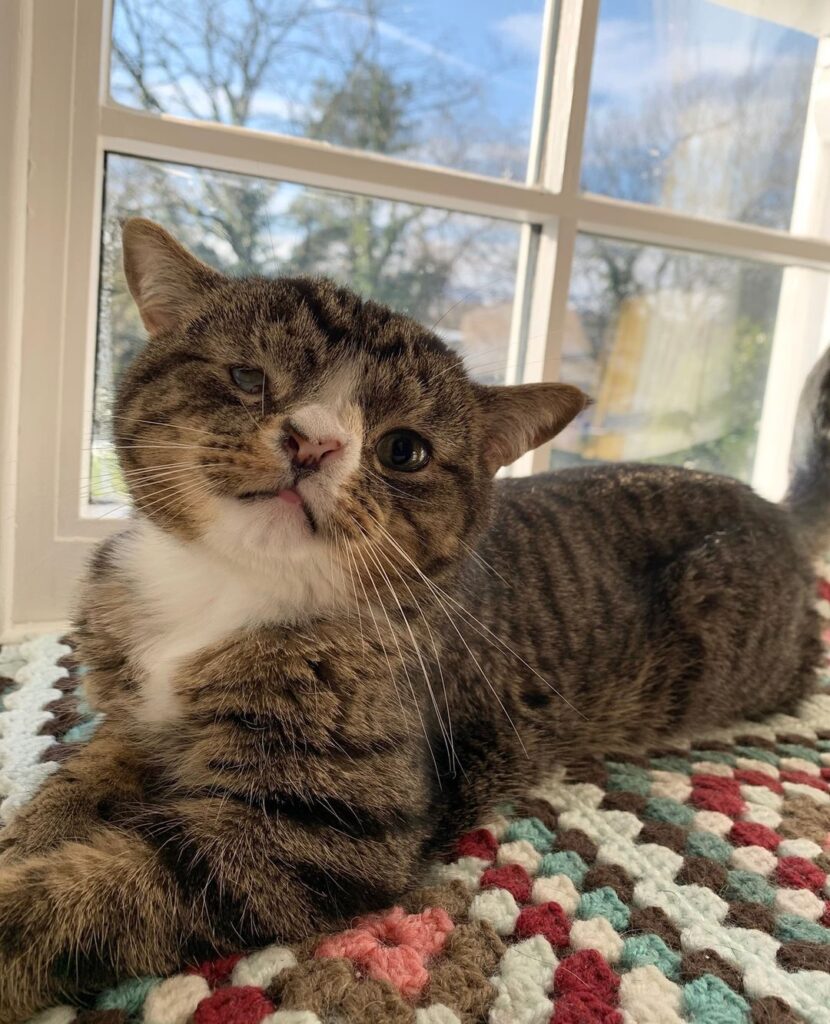 Human, I ready for my close up!