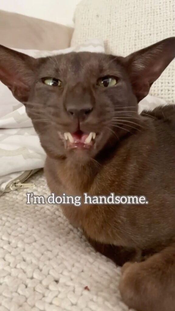 “ Ever since Chaska had his tooth extraction, he’s become a ma