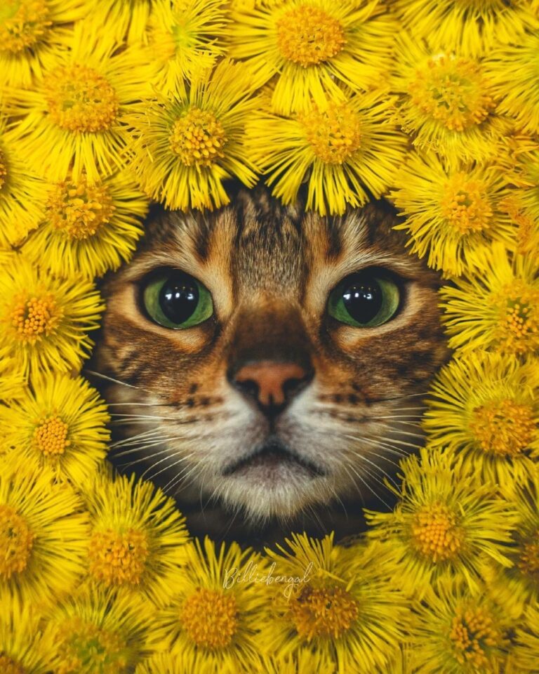 “A flower does not think of competing with the flower next t