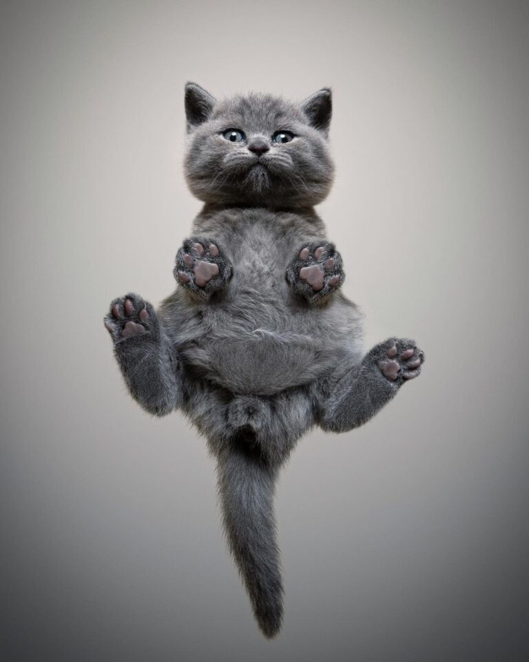 : “Ayo what’s going on down there?”
