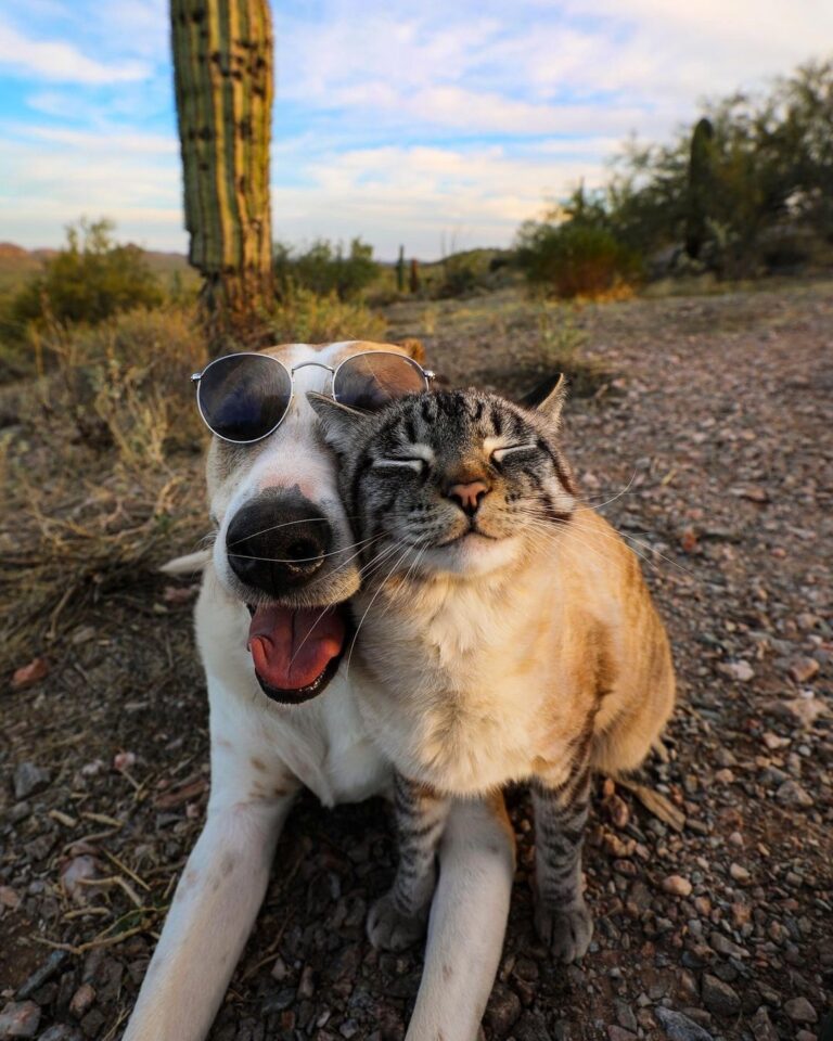 “Henry + Baloo are all smiles because it’s Earth Day!