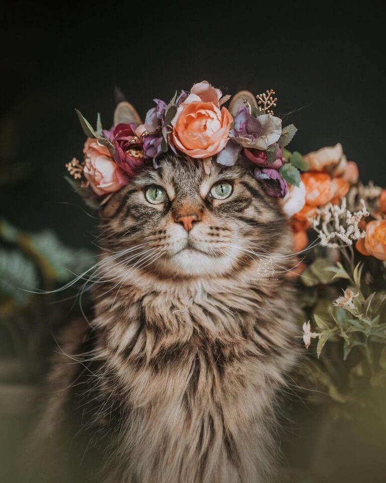 Like a painting