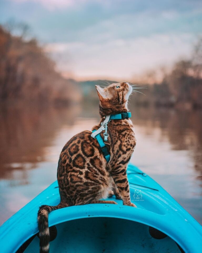 Thinking of better days