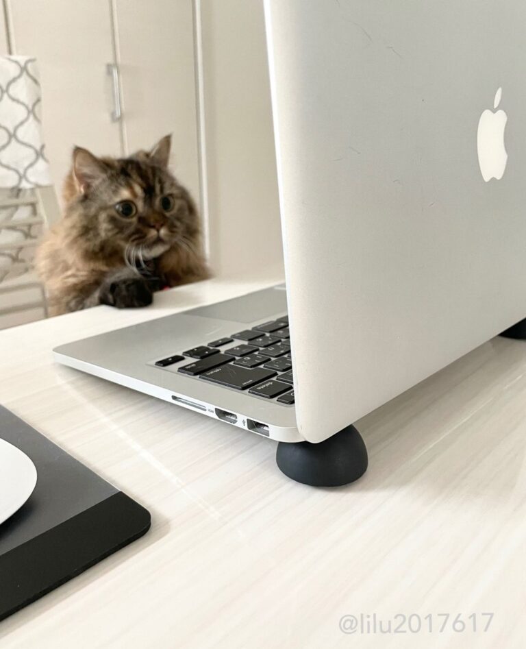 Today I am working from home.
