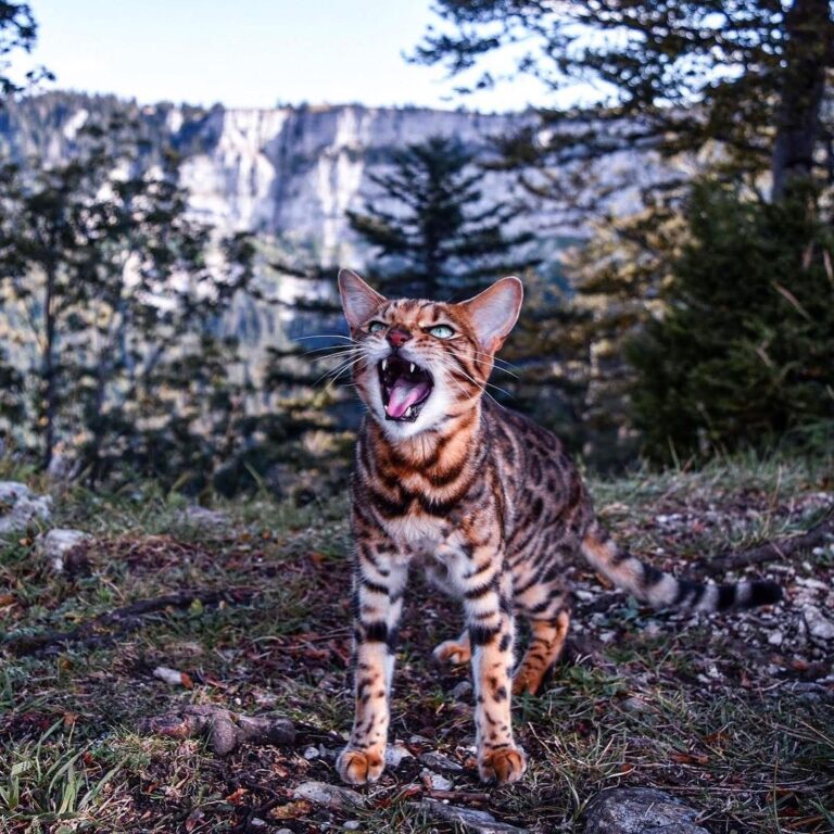 Caption this! Creux-du-Van, Switzerland