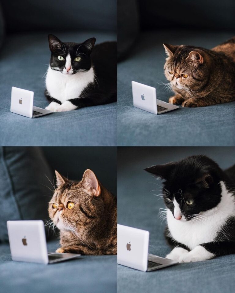 Sorry we’re late, we just woke up.