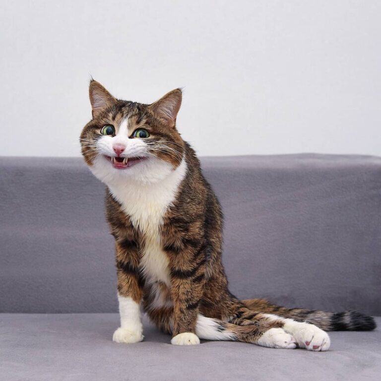 Look at the camera and say fleas!”