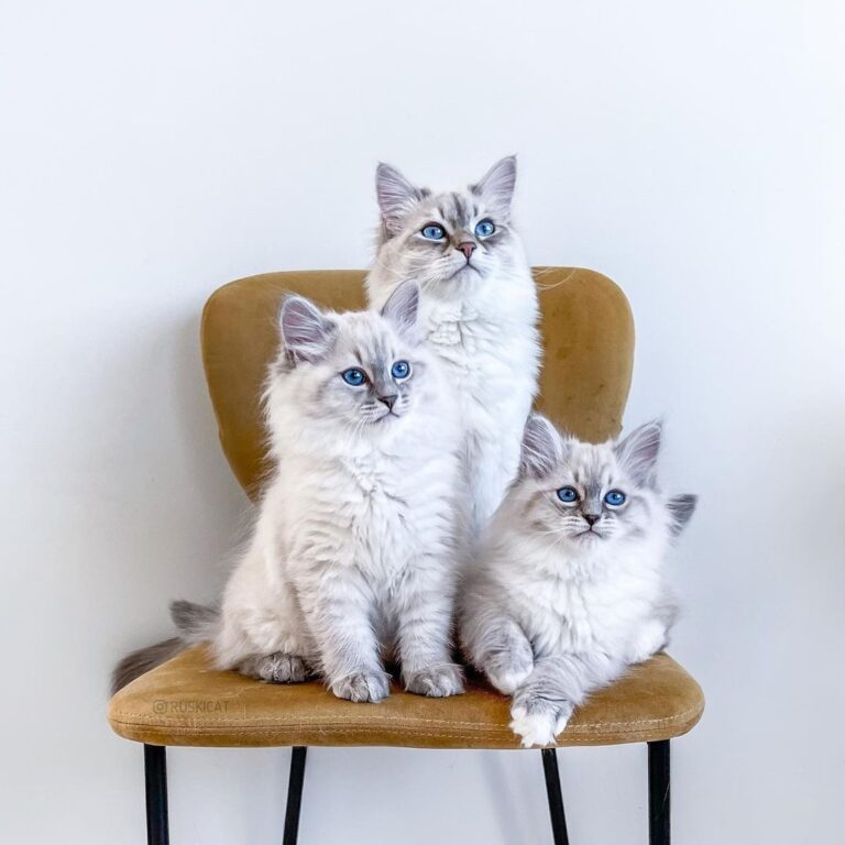 And not a single one looked into the camera