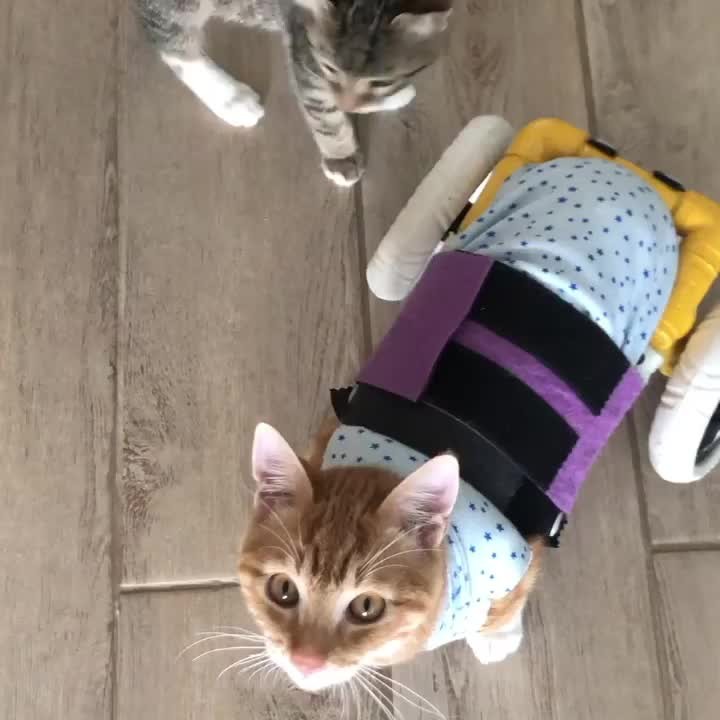 I melt everyday. Sound turn on please.