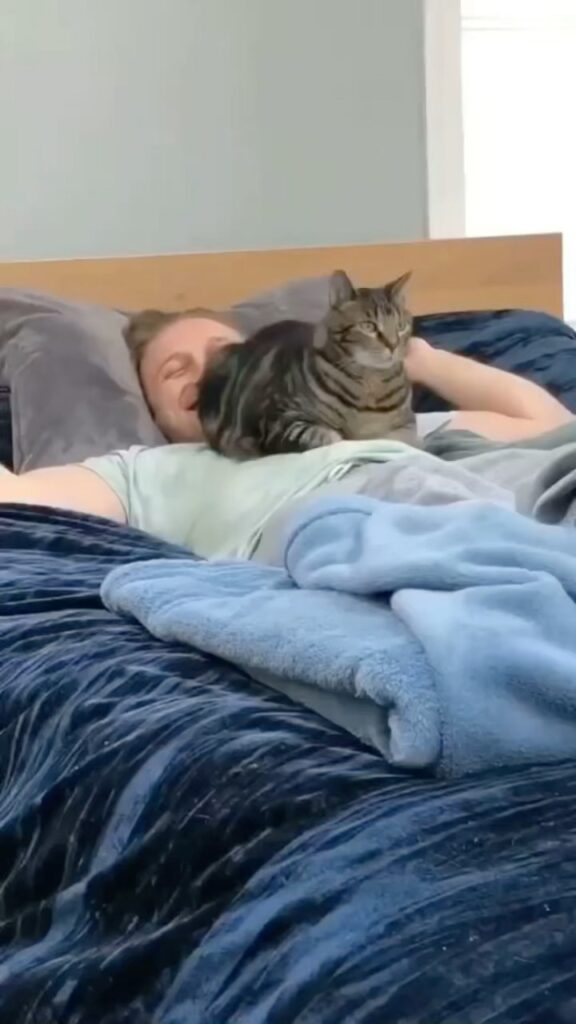 Rivacy? Not if you have a cat