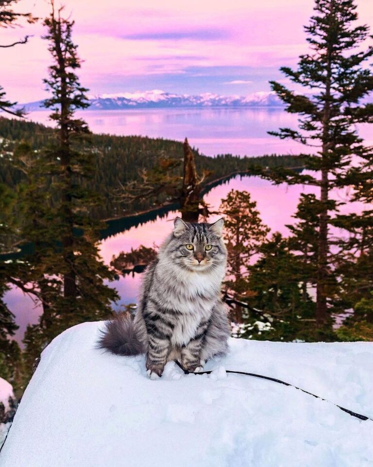 The best view you could ask for
