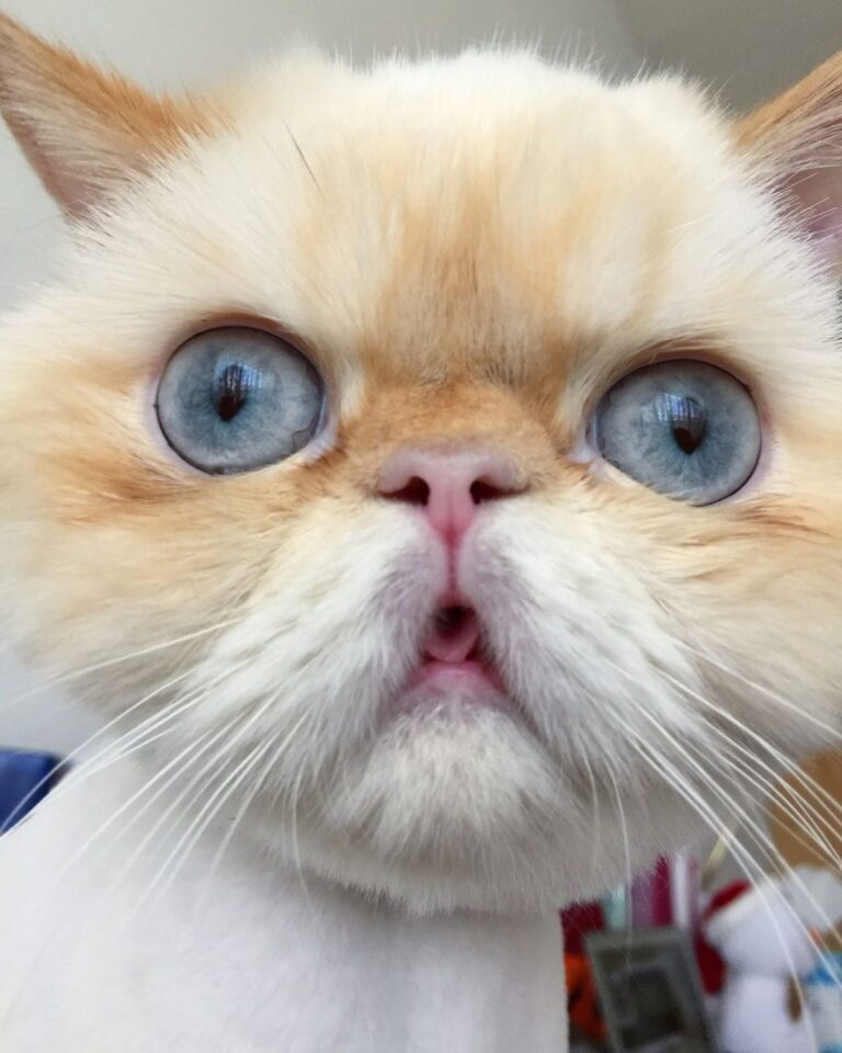 When you see something unsettling but can’t look away.