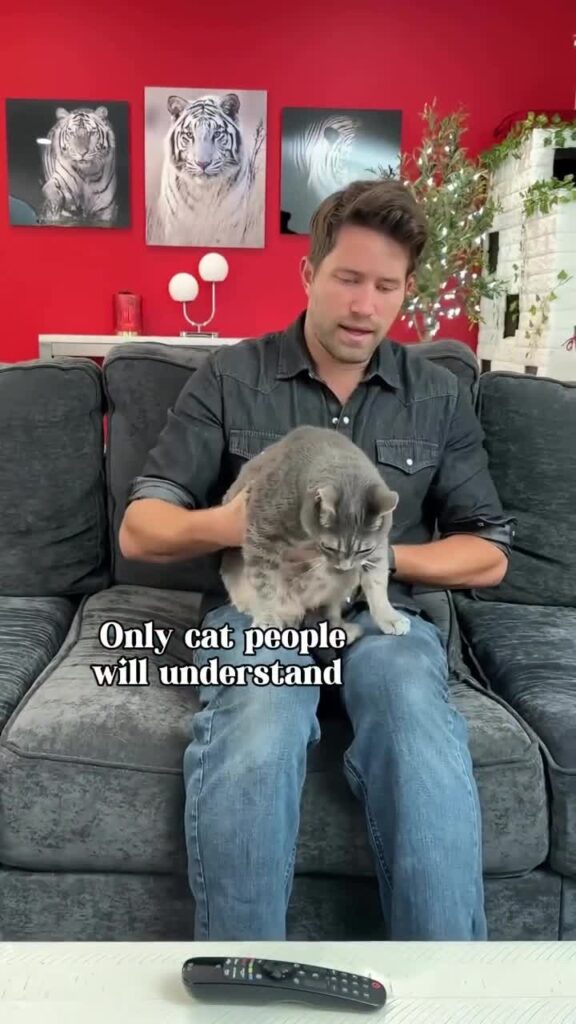 It Always Hurts When They Sit On Your Lap