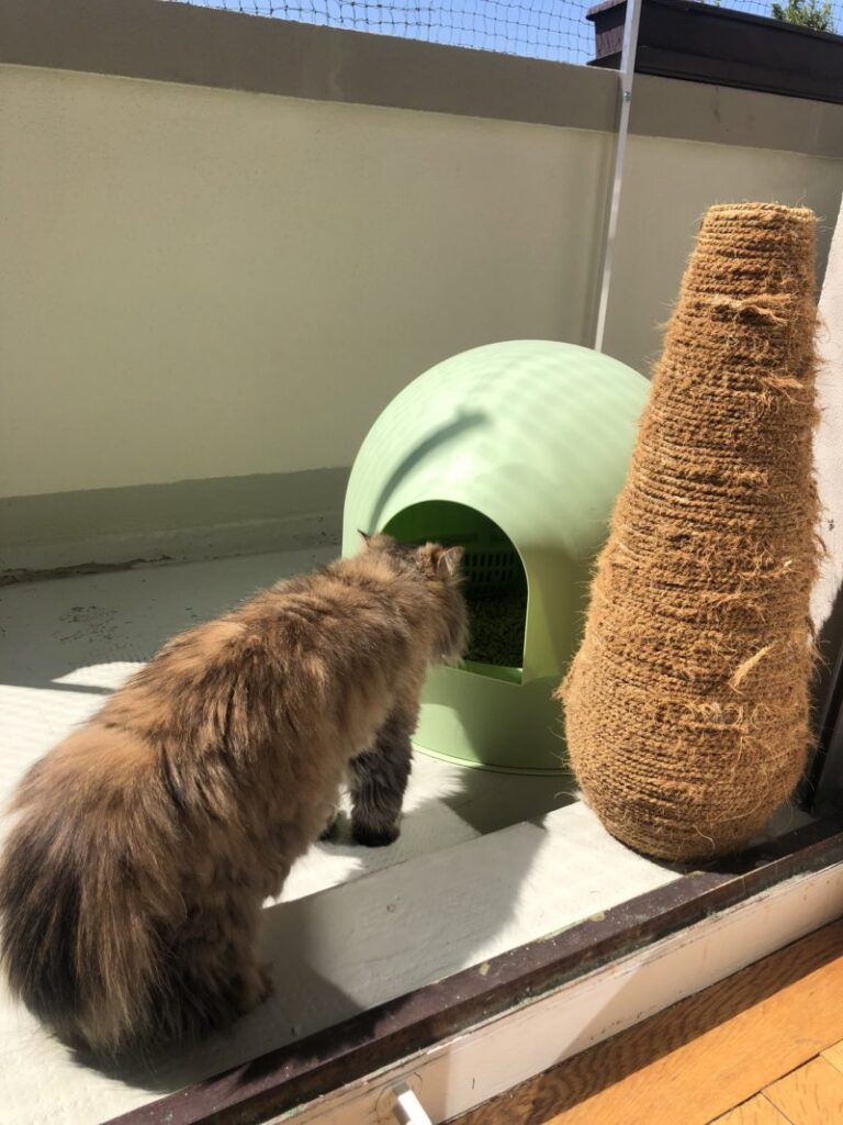 Pidan Igloo Cat Litter Box for the Balcony