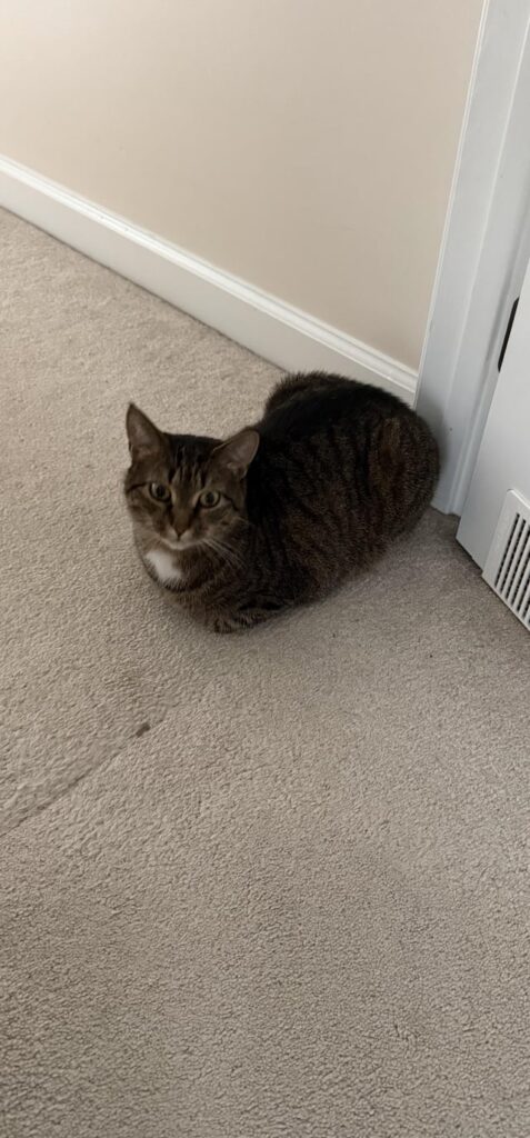 Inconveniently placed loaf