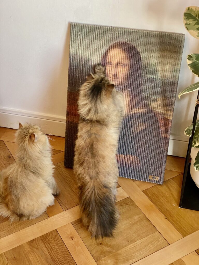 Mona Lisa Cat Scratcher