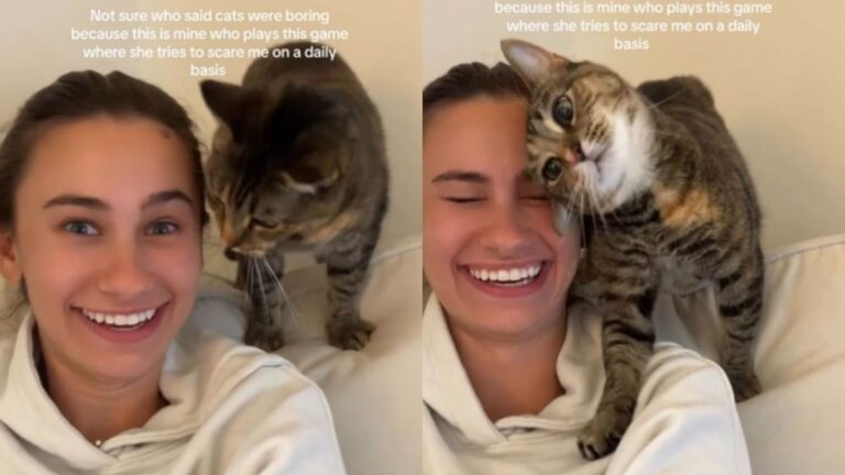 Cat Loves To Play Game Where She Tries To Scare Her Owner