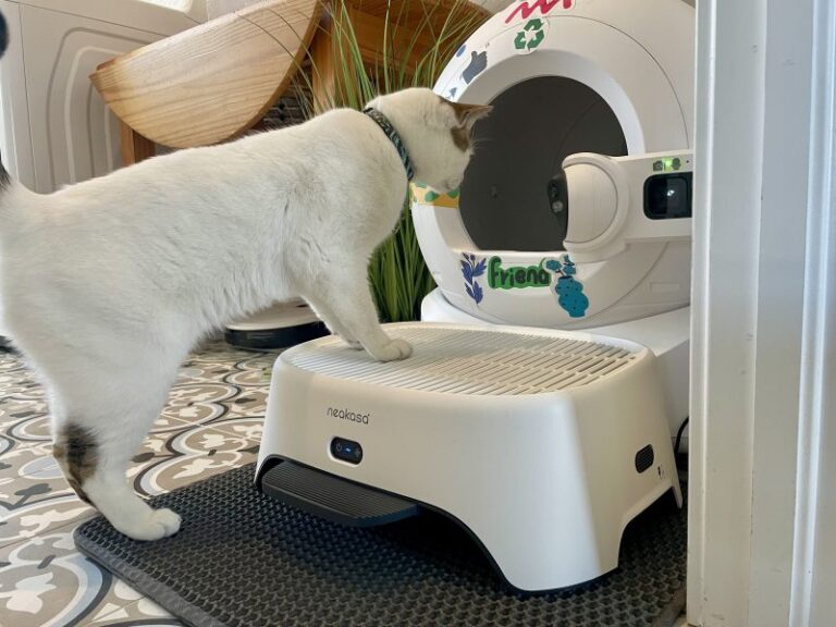Neakasa AirStep Odor-Eliminating Cat Litter Box Step Review 2026: Our