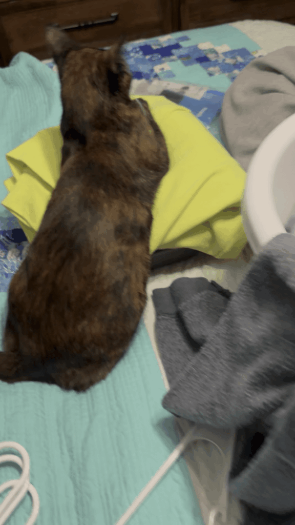 Laundry folder