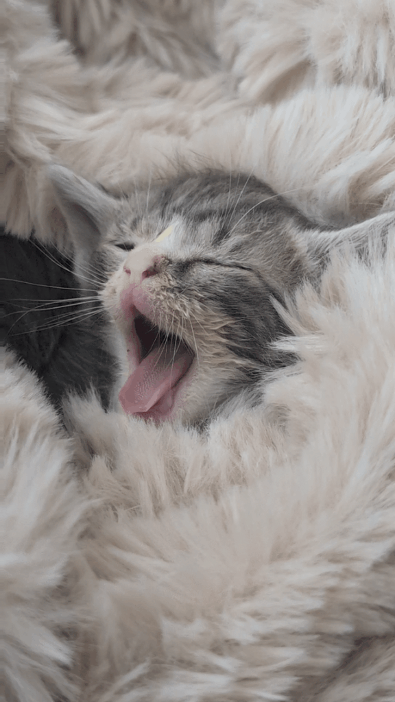 Tired from too much crime