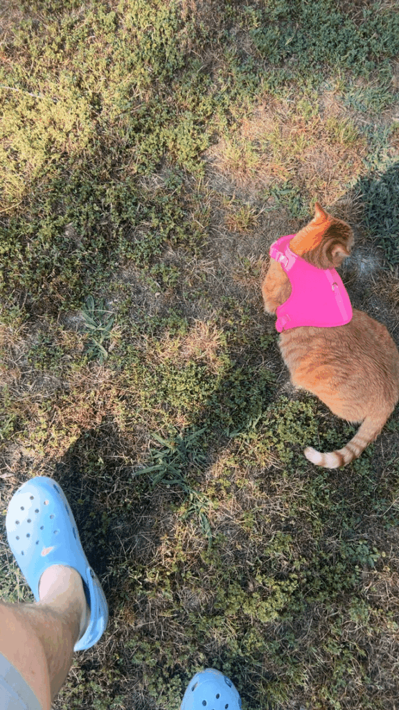 Ella The Farm Hand