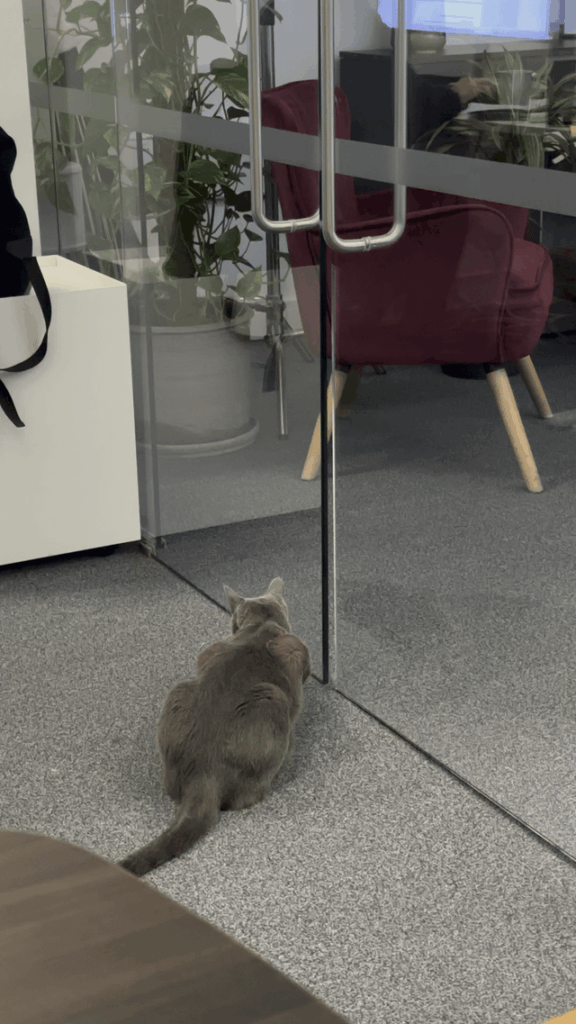 Supervisor. Demands to attend all office meetings