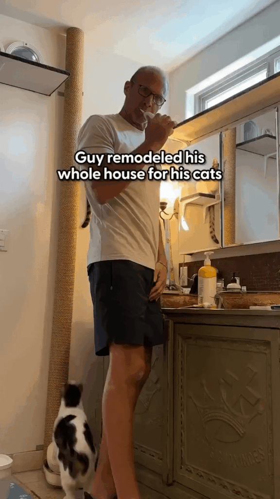 This guy remodeled his whole house for his cats