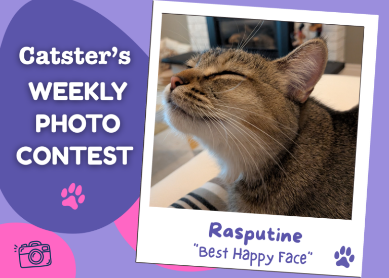 Catster’s Weekly Photo Contest Winners: Best Happy Face (April 23,
