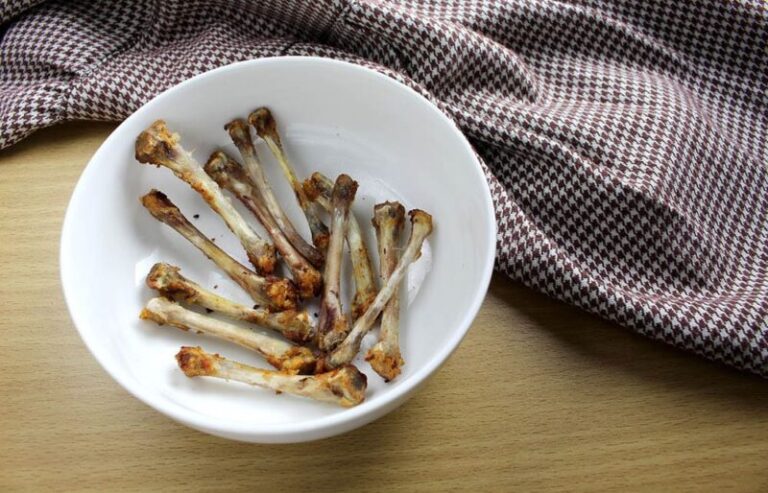 Why Chicken Bones Are More Dangerous for Cats Than Most Parents