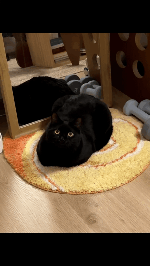 He wants more treats